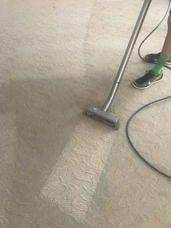 Carpet cleaning gallery